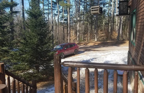 Saranac Lake House | Betsy's Wildlife Retreat