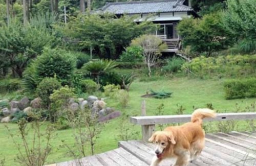 Kawazu Hotel | Bettei COCORO VS | Room only VS/Kamogun Shizuoka