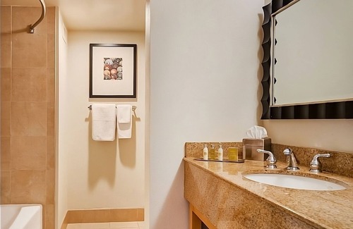 Berkeley Hotel | Better Choice for your Vacation! Onsite Bike Rental, Balcony, Pets Allowed, Pool