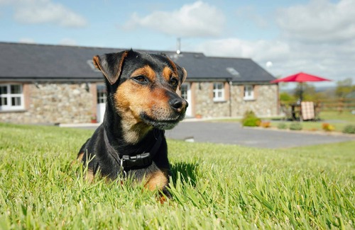 Pont-ar-gothi Cottage | Beudy Nel, Carmarthen