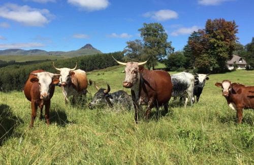 uMngeni House | Beverley Country Cottages