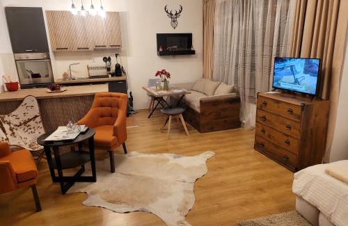 Samokov Apartment | BH and Semiramida Ski Apartment