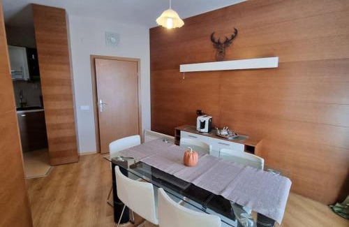 Samokov Apartment | BH & Semiramida Ski Apartment
