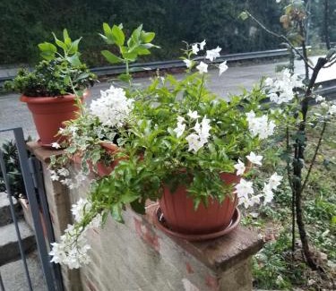 Valtopina Apartment | Biancaneve