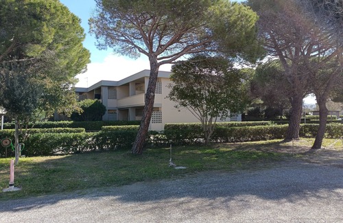 Marina di Bibbona Apartment | Bibbona Summer - Center