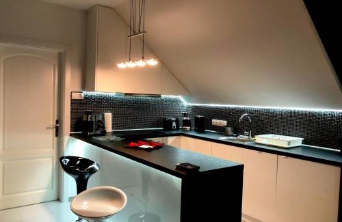 Gyula Apartment | Biborka Apartman