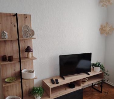 Colmar Centre Ville Apartment | Bienvenue à Ecureuil dans le Centre Historique de Colmar