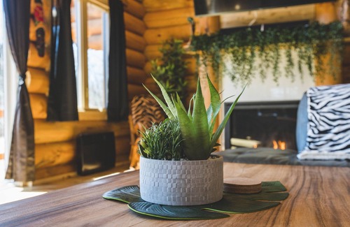 Saint-Philemon Cabin | BIENVENUE DANS LA JUNGLE - CHALET EN BOIS ROND