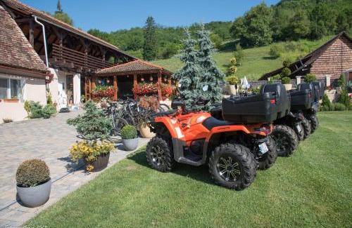 Biertan House | Biertan 48 Guesthouse