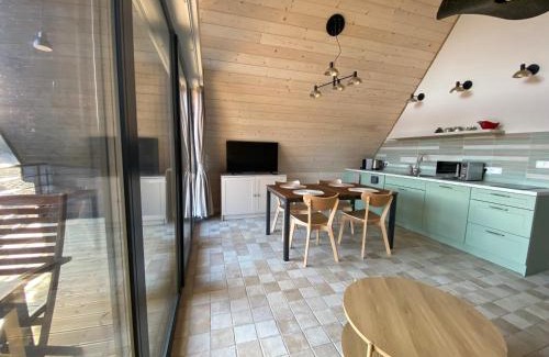 Wetlina Apartment | Biestroska - apartamenty widokowe