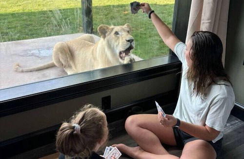 Town of Sullivan House | Big Cat Bungalows at The Haven