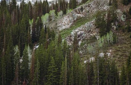Salt Lake Mountain Resorts Ski Chalet | Big Cottonwood 2 Bedroom Brighton Chalet