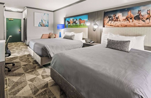Abilene Hotel | Big Country Hotel & Suites, SureStay Collection by BW