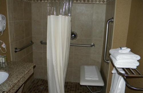 Abilene Hotel | Big Country Hotel & Suites, SureStay Collection by BW