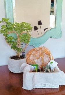 Mira Apartment | Big Fish 1 - Charming Beach Apartment