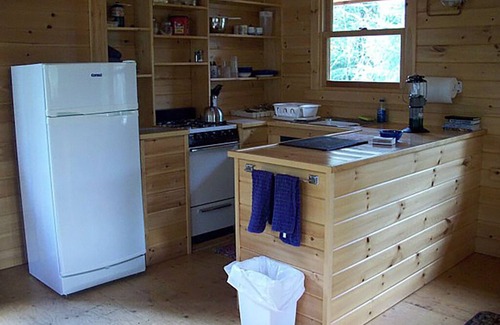 Ely Cabin | Big Pine Cabin - Remote Access Retreat