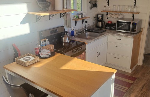 Silverton Cabin | Big Tiny Home with panoramic views at Buena Vista Lavender Farm