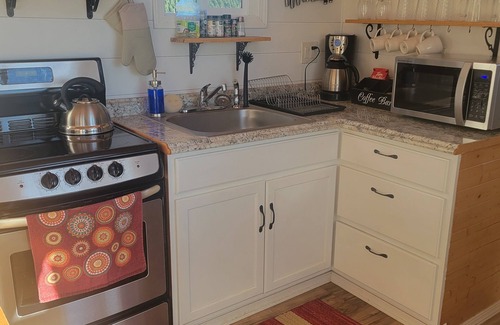 Silverton Cabin | Big Tiny Home with panoramic views at Buena Vista Lavender Farm