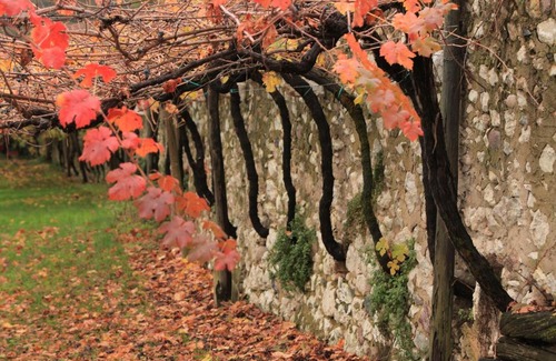 Rovereto Bed & Breakfast | Biker's Wine House