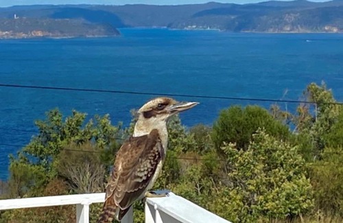 Killcare Heights House | 'Binalong House' by Accom Holidays
