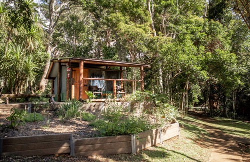 Binna Burra RV Rental | Binna Burra Rainforest Campsite