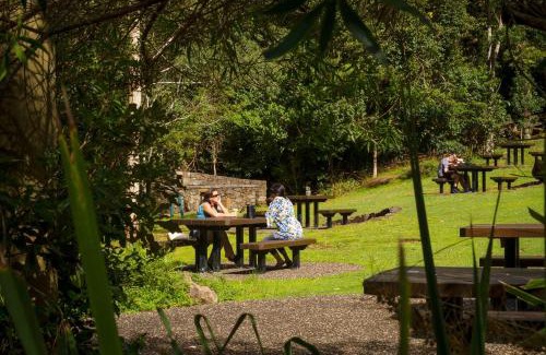 Binna Burra Cabin | Binna Burra Sky Lodges