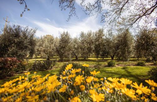 Catabbio House | Bio Agriturismo I Lapi