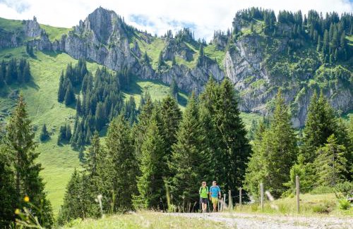 Balderschwang Hotel | Bio-Berghotel Ifenblick