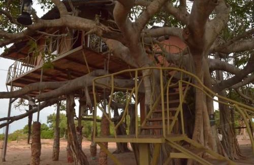 Vadamaradchy East Cabin | Bird Sanctuary Nature Park Army Welfare Resort and Tree House