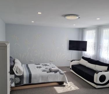 Klaipeda Apartment | Birutės apartamentai
