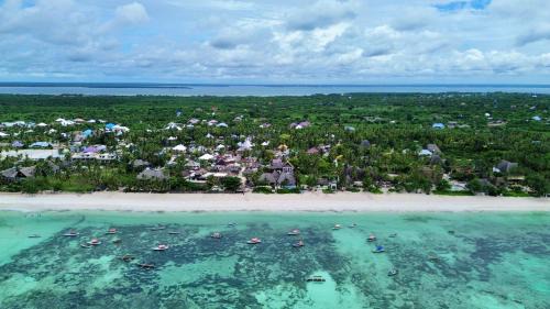Pingwe Hotel | Bitcoin Beach Hotel Zanzibar