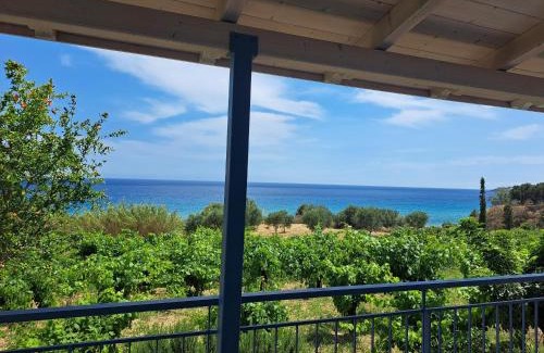 Pylos-Nestoras House | BIZOS Beach