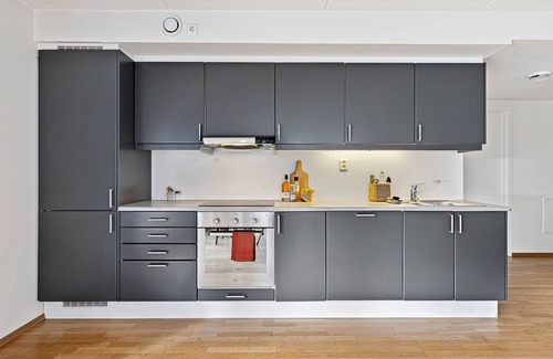 Gronland Apartment | BJØRVIKA APARTMENTS, Teaterplassen, Oslo city center
