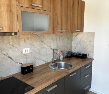 Kolasin Apartment | Bjelasica View