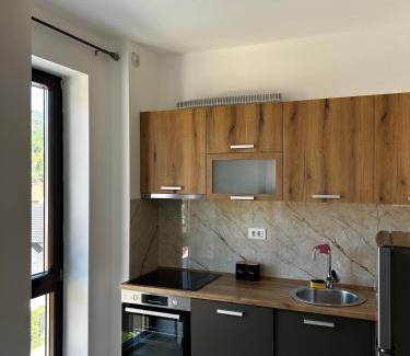 Kolasin Apartment | Bjelasica View