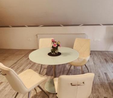 Antunovac Apartment | BL App