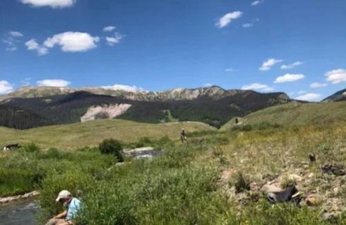 Silverton RV Rental | Black Bear primitive campsite withnMineral rights.