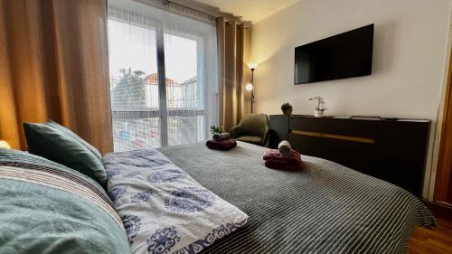 Radvan Apartment | Black Lotus I I Downtown Apartment l Free Parking l 24hr Access