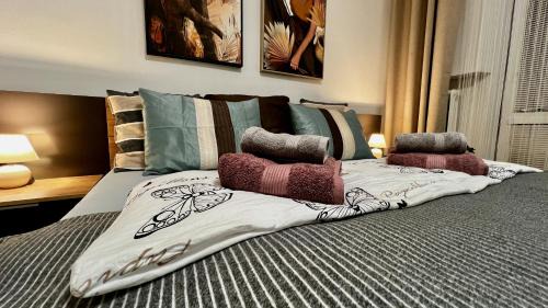 Radvan Apartment | Black Lotus I I Downtown Apartment l Free Parking l 24hr Access