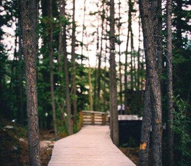 Whitehorse House | Black Spruce - Orange Door