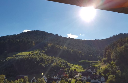 Bad Rippoldsau-Schapbach House | Blackforestlodges Wanderheim + Huettenambiente + Waldbaden + Waldrausch (en).