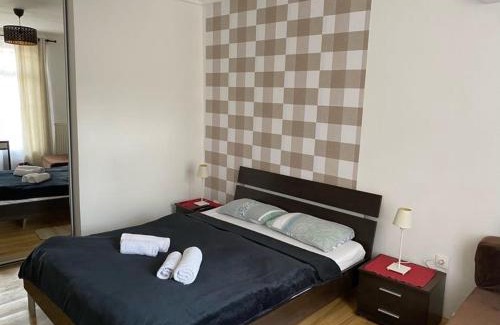Nepszinhaz negyed Apartment | Blaha Nice View Apartment