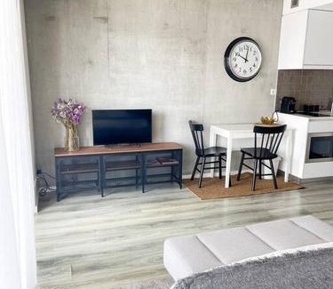 Aveiro Apartment | * Blanc Studio Aveiro *