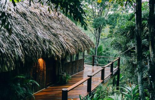 Blancaneau Cabin | Blancaneaux Lodge by Francis Ford Coppola