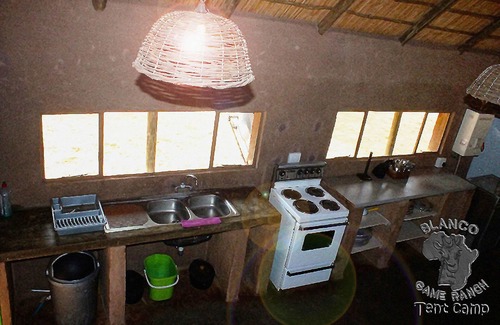 Kagisano-Molopo Other | Blanco Hunting Safaris Game Ranch