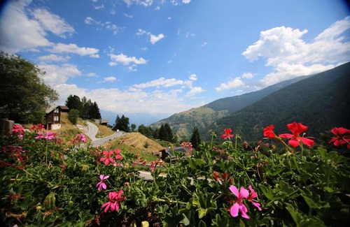 Nendaz Bed & Breakfast | Bleusydyllique