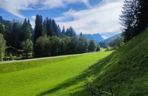 Grundau Apartment | Blick auf den Rettenstein Top 1