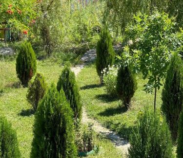 Baia de Fier House | BLIM Restaurant Cazare Sound of Nature
