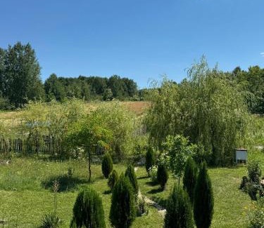 Baia de Fier House | BLIM Restaurant Cazare Sound of Nature