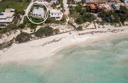 Punta Prosciutto Apartment | Bliss Attico Fronte Mare by BarbarHouse